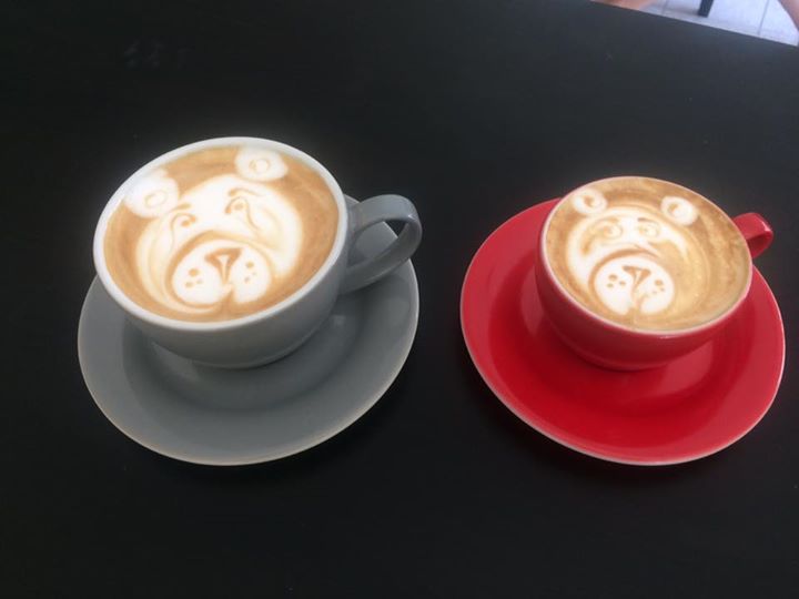 Příští týden startujeme zkušební provoz a naše Lucinka začíná trénovat latte art…